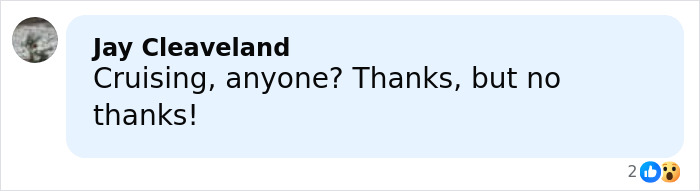 Comment by Jay Cleveland, saying Cruising, anyone? Thanks, but no thanks! with two reaction emojis.