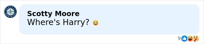 Social media comment asking Where's Harry with a laughing emoji and various reactions below the text.