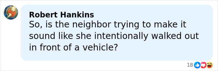 Comment by Robert Hankins questioning if the neighbor implies the Marvelous Mrs. Maisel actress caused the NYC street accident.