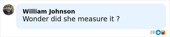 Comment by William Johnson saying Wonder did she measure it with reactions underneath, illustrating Candace Owens&rsquo; comment about Brigitte Macron.