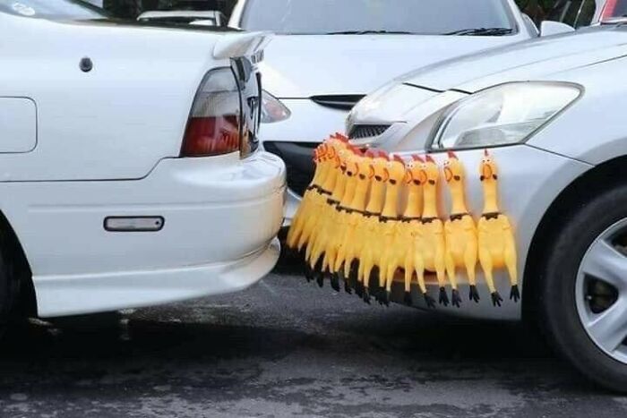 Two cars parked closely with a line of rubber chickens clipped between bumpers in a funny random pic that makes you laugh.