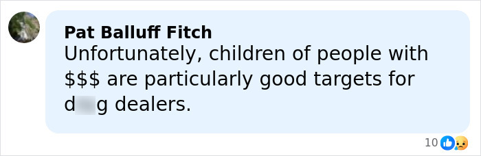 Comment by Pat Balluff Fitch discussing children of wealthy people as targets for d**g dealers in a social media post.