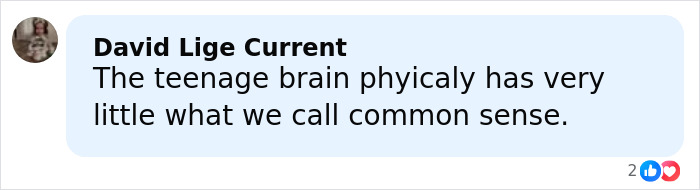 Screenshot of a Facebook comment discussing the teenage brain and common sense in relation to accused teens luring a daughter into woods.