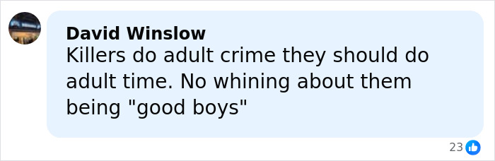 Comment from David Winslow stating killers should serve adult time without excuses, related to accused teens luring tactic.