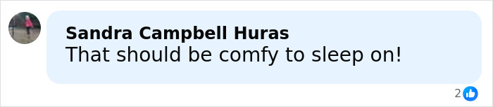 Comment on Cardi B getting new neck and back piercings saying it should be comfy to sleep on.