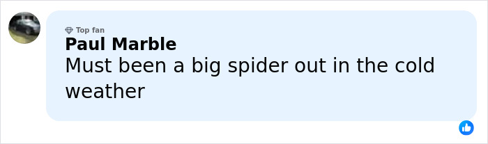 Comment section screenshot showing a user named Paul Marble replying humorously about a spider in cold weather related to a DoorDasher incident. Comment section screenshot showing a user named Paul Marble replying humorously about a spider in cold weather related to a DoorDasher incident.