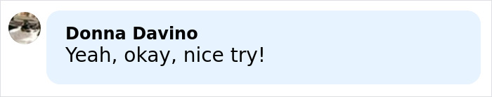 Comment by Donna Davino saying yeah okay nice try in a light blue speech bubble on a white background Comment by Donna Davino saying yeah okay nice try in a light blue speech bubble on a white background