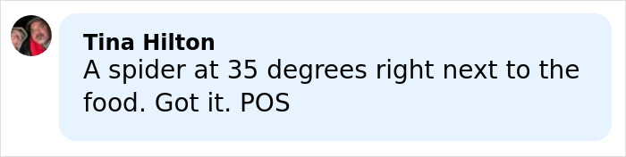 Comment from Tina Hilton discussing a spider near food in a light blue chat bubble on a social app. Comment from Tina Hilton discussing a spider near food in a light blue chat bubble on a social app.