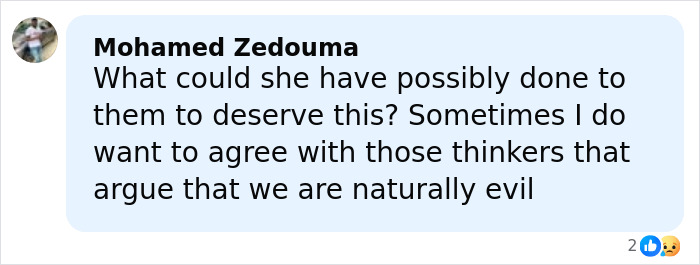 Comment expressing disbelief and questioning revenge motives after teen boys set 14YO girl on fire incident.