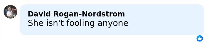 Facebook comment by David Rogan-Nordstrom saying she isn't fooling anyone, related to Melania Trump's new Christmas ornament controversy.