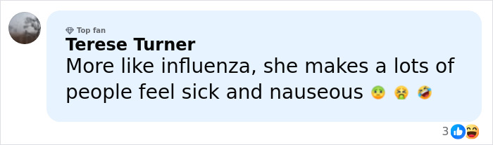 Comment from social media user Terese Turner expressing strong negative feelings about a topic related to Melania Trump's new Christmas ornament.