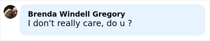 Screenshot of a social media comment expressing indifference, related to Melania Trump's new Christmas ornament cost controversy.