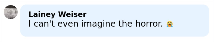 Comment on social media post expressing horror about woman taking a bullet for 3-year-old daughter during Bondi Beach attack. Comment on social media post expressing horror about woman taking a bullet for 3-year-old daughter during Bondi Beach attack.