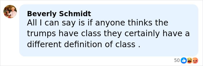 Comment expressing criticism about Melania Trump's new Christmas ornament and its high cost sparking outrage.