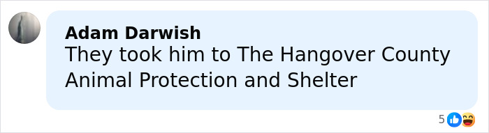 Chat message showing Adam Darwish mentioning taking a raccoon to an animal shelter after a liquor store raid incident.