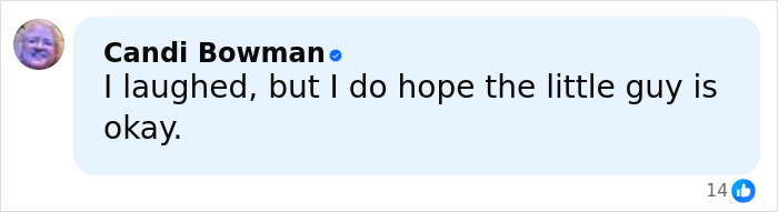 Screenshot of a social media comment reacting to a raccoon raid at a liquor store with concern for the animal&rsquo;s well-being.