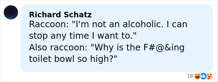 Comment joking about raccoon raids liquor store, humorously questioning the height of the toilet bowl in the bathroom.