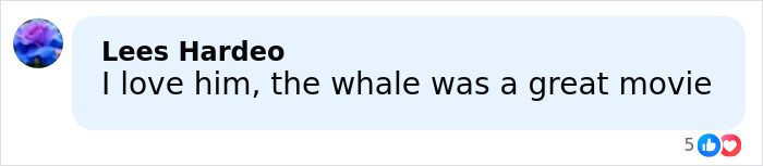 Comment by Lees Hardeo expressing love for Brendan Fraser and praise for the movie The Whale after Oscar victory.