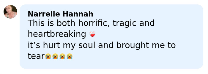 Horrifying Update After Bodies Of Nearly 800 Babies Found In Septic Tank Horrifying Update After Bodies Of Nearly 800 Babies Found In Septic Tank