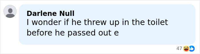 Comment from Darlene Null speculating humorously about a raccoon passing out in a bathroom after raiding a liquor store.