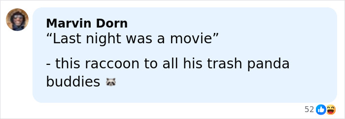 Comment by Marvin Dorn humorously referencing a raccoon after a liquor store raid, sparking funny reactions online.