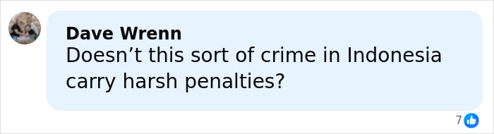 Comment from Dave Wrenn questioning harsh penalties for crime in Indonesia in a social media discussion about adult star arrests.