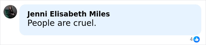 Screenshot of a Facebook comment by Jenni Elisabeth Miles saying "People are cruel" in response to fan questions about Selena Gomez mustache.