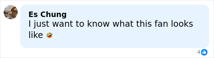 Screenshot of a social media comment expressing curiosity about a fan in a conversation related to Selena Gomez shaving mustache.