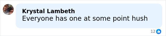 Comment by Krystal Lambeth saying Everyone has one at some point hush, shown in a social media post.