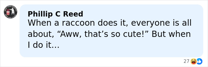 Comment about raccoon raiding liquor store and humorous reactions to it from Phillip C Reed on social media.
