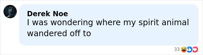 Comment on social media post reacting to raccoon raids liquor store and ends up passed out in bathroom, sparking hilarious reactions.