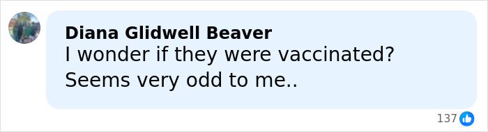 Facebook comment questioning vaccination status, related to influencer's daughter passing away at Christmas after another daughter's death.