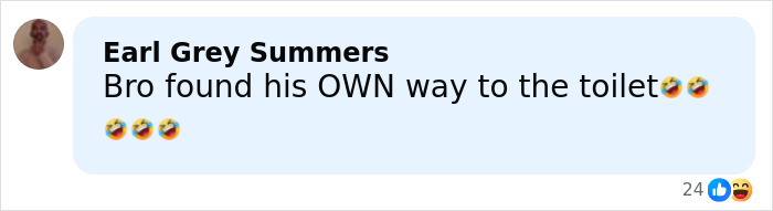 Comment by Earl Grey Summers reacting to raccoon raids liquor store and ends up passed out in the bathroom, with laughing emojis.