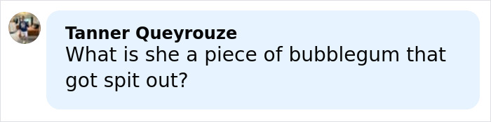 Woman commenting online with a question about Rihanna's red carpet look involving a diaper bag reaction.