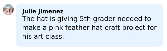 Comment comparing Rihanna&rsquo;s red carpet look to a 5th grader&rsquo;s pink feather hat craft project.
