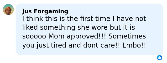 Comment expressing mixed feelings about Rihanna's red carpet look and mentioning reactions to the diaper bag debate.
