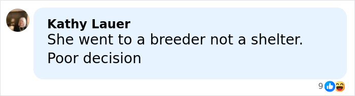 Comment from Kathy Lauer criticizing the decision to buy a dog with chopped-off ears from a breeder, not a shelter.