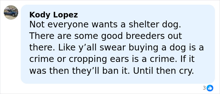 Comment by Kody Lopez defending breeders and dog ear cropping, responding to controversy over dog ear practices.