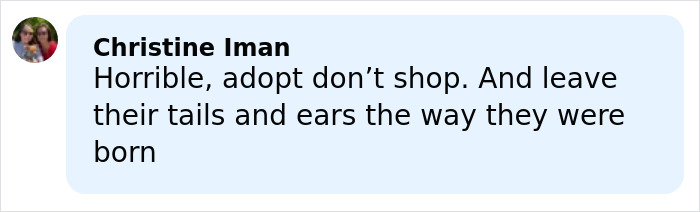 Comment from Christine Iman criticizing ear cropping and promoting adoption over shopping for dogs.