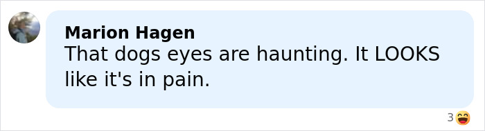 Facebook comment by Marion Hagen expressing concern over a dog's eyes that appear to show pain from ear cropping.