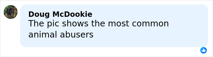 Comment on social media condemning animal a***e, referencing painful issues related to dogs with chopped-off ears.