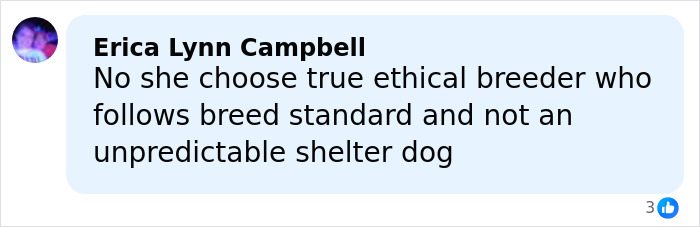 Facebook comment by Erica Lynn Campbell discussing choosing an ethical breeder over an unpredictable shelter dog in a dog debate.