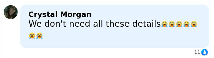 Comment by Crystal Morgan expressing distress over excessive details related to Nick Reiner's hotel room arrest case.