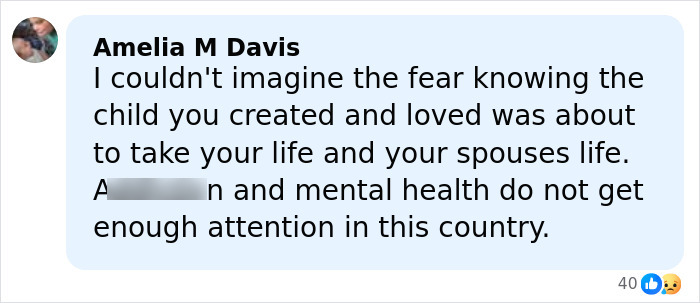Alt text: Screenshot of a Facebook comment discussing fear, mental health, and the tragic situation surrounding Nick Reiner's hotel room arrest.