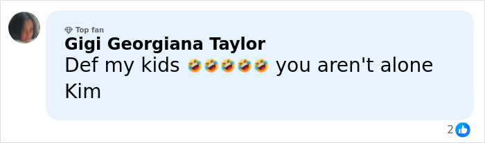 Fan comment reacting to Kim Kardashian's Christmas card failure, discussing kids' home life concerns online.