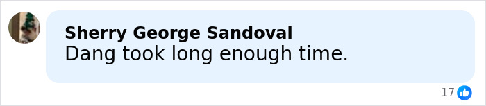 Facebook comment by Sherry George Sandoval saying Dang took long enough with 17 reactions, related to mom's chilling Google searches.