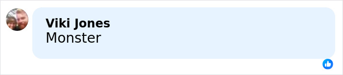 Comment reading Monster by Viki Jones on social media related to mom's chilling Google searches case.