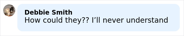 Screenshot of a social media comment reacting to mom's chilling Google searches linked to 5-year-old daughter's slaying.