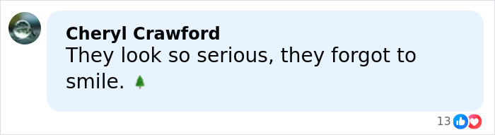 Comment reading they look so serious, they forgot to smile, reacting to Melania and Donald Trump's Christmas card online.