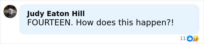 Screenshot of a social media comment reacting to a brutal attack on a 14-year-old girl involving two teens charged with homicide. Screenshot of a social media comment reacting to a brutal attack on a 14-year-old girl involving two teens charged with homicide.